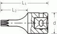 NÁSTAVEC TORX 1/4"